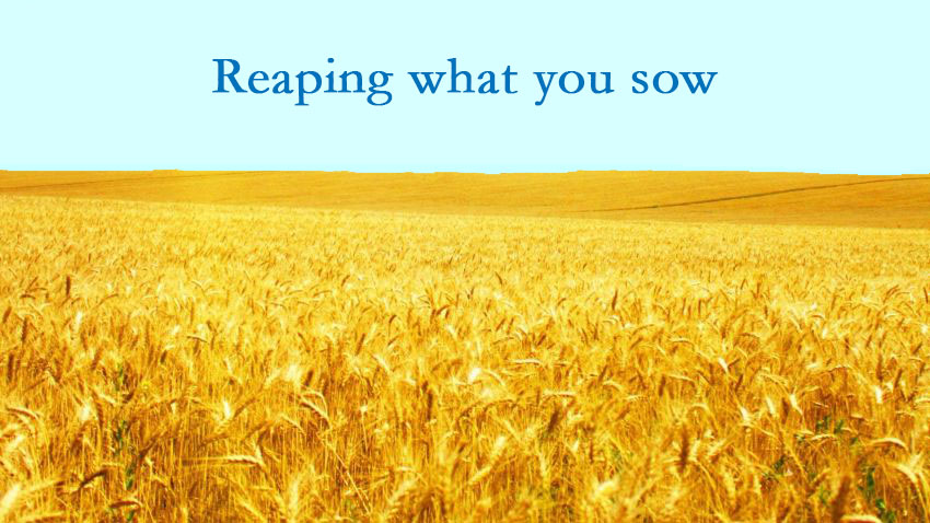 Reaping What You Sow