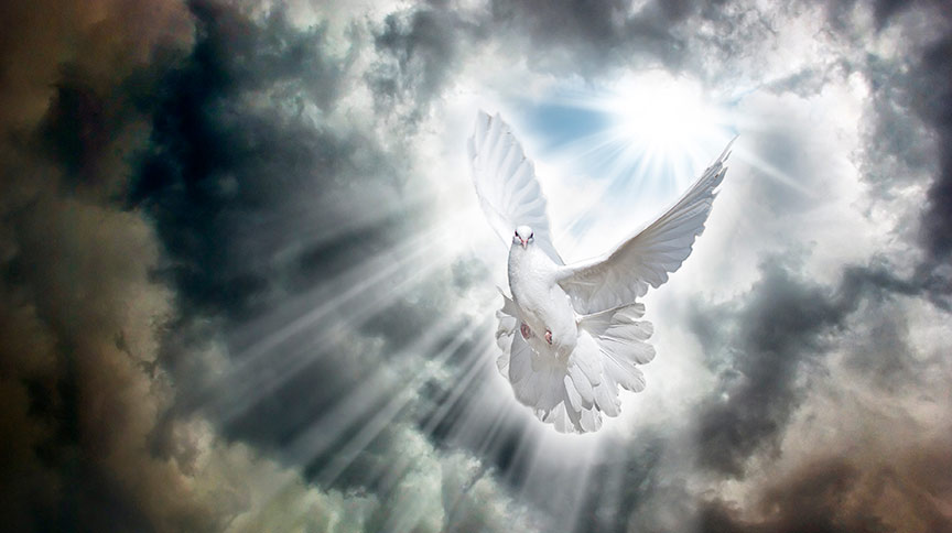The Outpouring of the Holy Spirit: The Living Waters