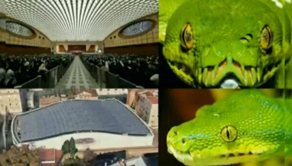 Serpents in the Vatican – Not a show they wanted you to see