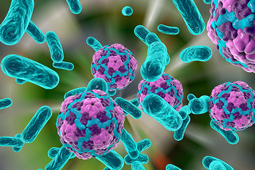 5 MORE Deadly Diseases Have Been Reported