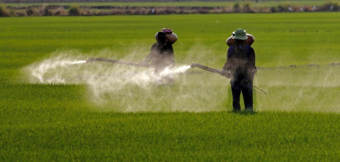 85% of All Food in U.S. Now Contaminated: Toxic Pesticides Also Found in Drinking Water