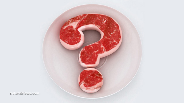 Lab-cultured, GMO-laden fake “meat” is a toxic abomination to be avoided at all costs