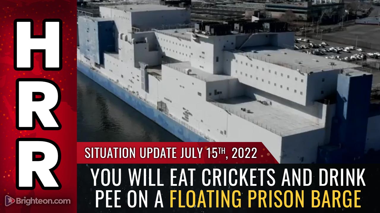 Welcome to your police state future: You will EAT CRICKETS and DRINK PEE on a floating prison barge
