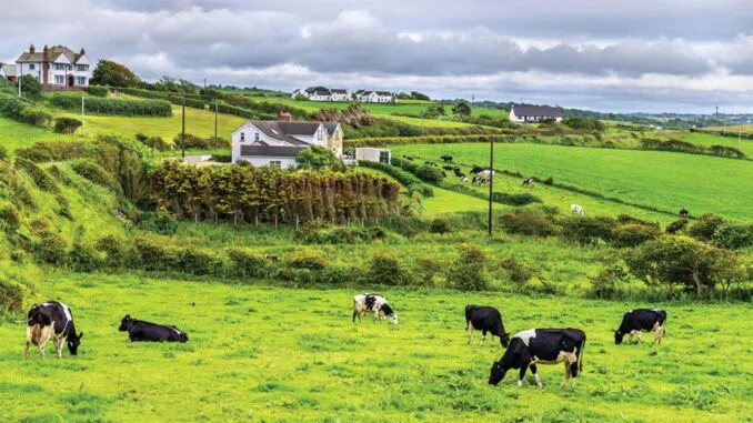 Joining Canada & Netherlands, Ireland Set To Target Farmers With Carbon Emissions Cuts