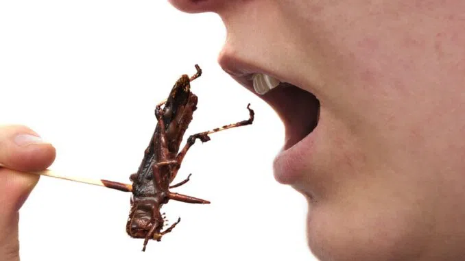 ‘Start Reading Labels’: Food Producers Caught Quietly, Deceitfully Putting Crickets In Our Food