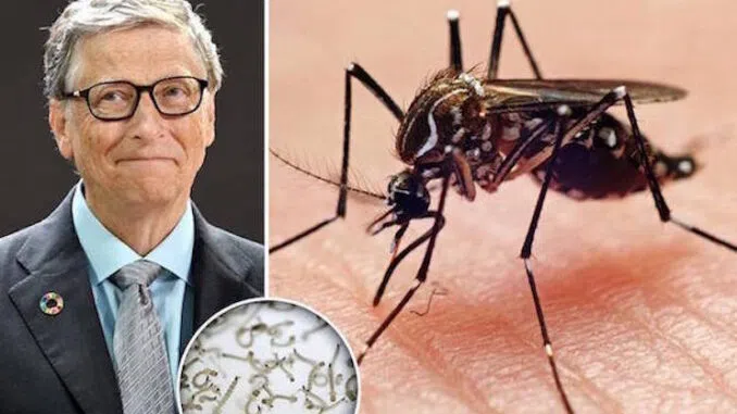 Bill Gates’ Colombian ‘Mosquito Factory’ Breeding 30 Million Bacteria-Infected Mosquitos Per Week
