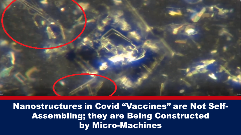 Nanostructures in Covid “Vaccines” are Not Self-Assembling; they are Being Constructed by Micro-Machines