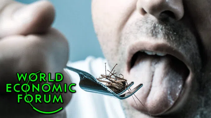 Europeans Are Now Being Force-Fed Bugs In Pizza, Pasta and Cookies Without Their Consent