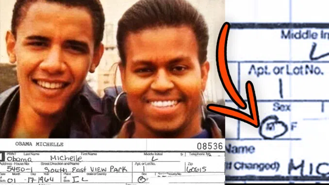 Official Gov’t Docs Expose Michelle Obama’s 14 Year History as a Man