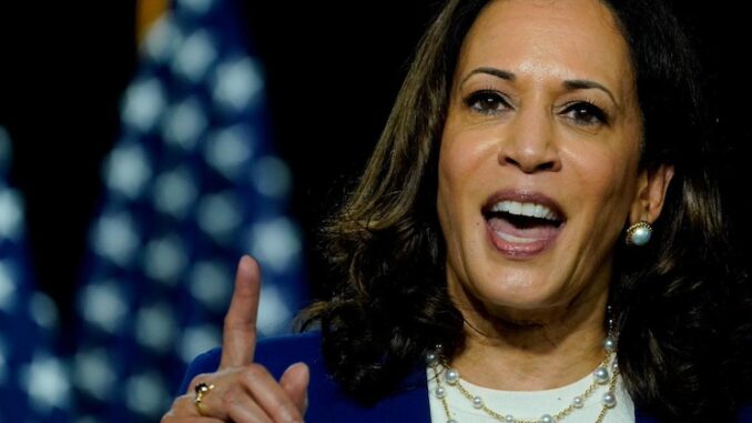 Evil Kamala Harris Vows to Fast Forward WEF’s ‘Net Zero’ Plan to 2025