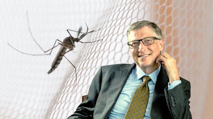 Bill Gates Wants Americans To Release His ‘Friendly’ GM Mosquitoes Into Neighborhoods Across the US